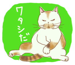 Every day I love cats sticker #5602255