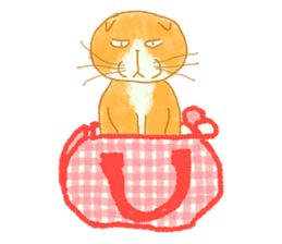 Every day I love cats sticker #5602273