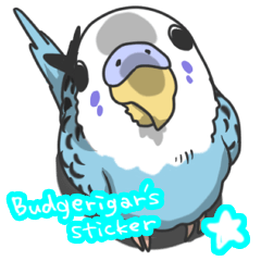 I'm Budgie.