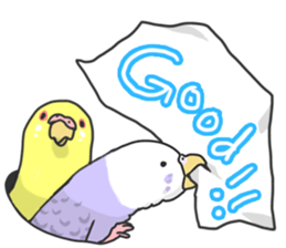 I'm Budgie. sticker #5602489