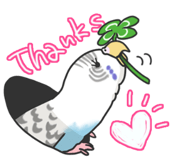 I'm Budgie. sticker #5602490