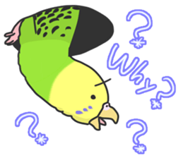 I'm Budgie. sticker #5602492