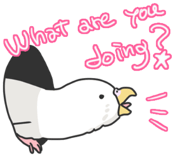 I'm Budgie. sticker #5602498