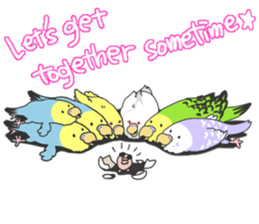 I'm Budgie. sticker #5602503