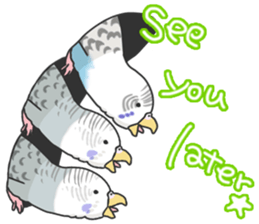 I'm Budgie. sticker #5602504