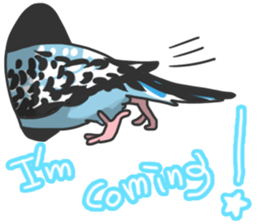 I'm Budgie. sticker #5602505