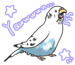 I'm Budgie. sticker #5602511