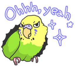 I'm Budgie. sticker #5602512