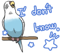 I'm Budgie. sticker #5602513