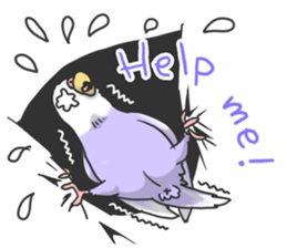 I'm Budgie. sticker #5602514