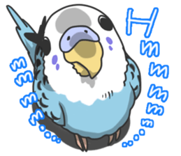 I'm Budgie. sticker #5602516