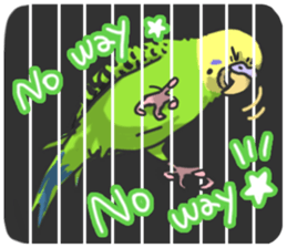 I'm Budgie. sticker #5602520