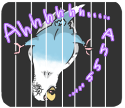 I'm Budgie. sticker #5602522