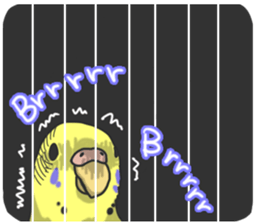 I'm Budgie. sticker #5602523