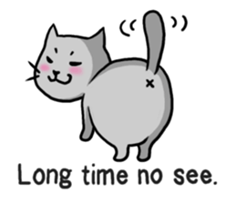 Russian blue cat!! sticker #5603287