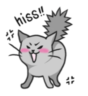 Russian blue cat!! sticker #5603309