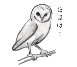 HANJIE-ZOO sticker #5605199