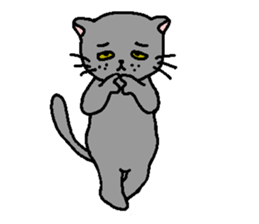 The Tamuras' cat 2 sticker #5608393