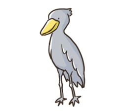 HASHIBIROKOU -Shoebill- sticker #5610805