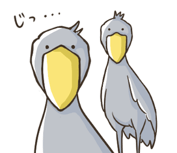 HASHIBIROKOU -Shoebill- sticker #5610817
