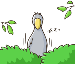 HASHIBIROKOU -Shoebill- sticker #5610818