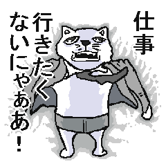 Work Iyaiya cat
