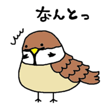 Full of birds mark 2 sticker #5613173