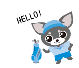 Golf Chihuahua sticker #5618055