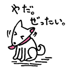 White Shiba dog sticker #5618725