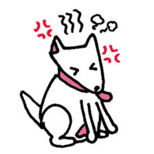 White Shiba dog sticker #5618726