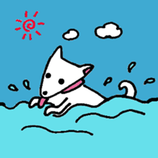 White Shiba dog sticker #5618727