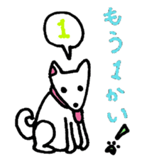 White Shiba dog sticker #5618729