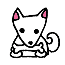 White Shiba dog sticker #5618730