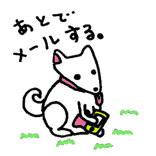 White Shiba dog sticker #5618733