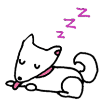White Shiba dog sticker #5618737