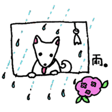 White Shiba dog sticker #5618738