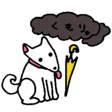 White Shiba dog sticker #5618740