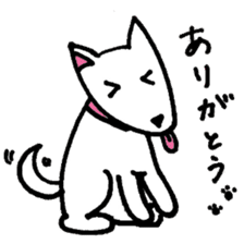 White Shiba dog sticker #5618748