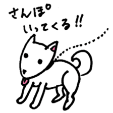 White Shiba dog sticker #5618752