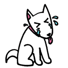 White Shiba dog sticker #5618753
