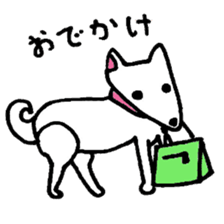 White Shiba dog sticker #5618754