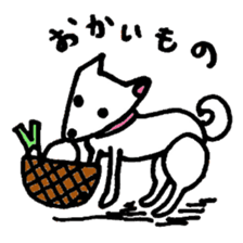 White Shiba dog sticker #5618757