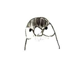 Rough sticker bird sticker #5620334