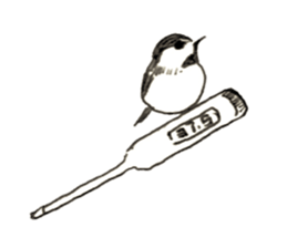 Rough sticker bird sticker #5620340