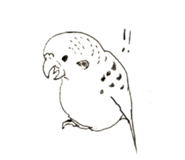 Rough sticker bird sticker #5620344