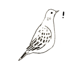 Rough sticker bird sticker #5620346