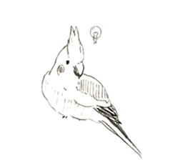 Rough sticker bird sticker #5620349