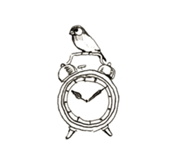 Rough sticker bird sticker #5620350