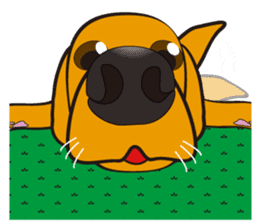 big nose dog pote 3 sticker #5621325