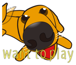 big nose dog pote 3 sticker #5621328